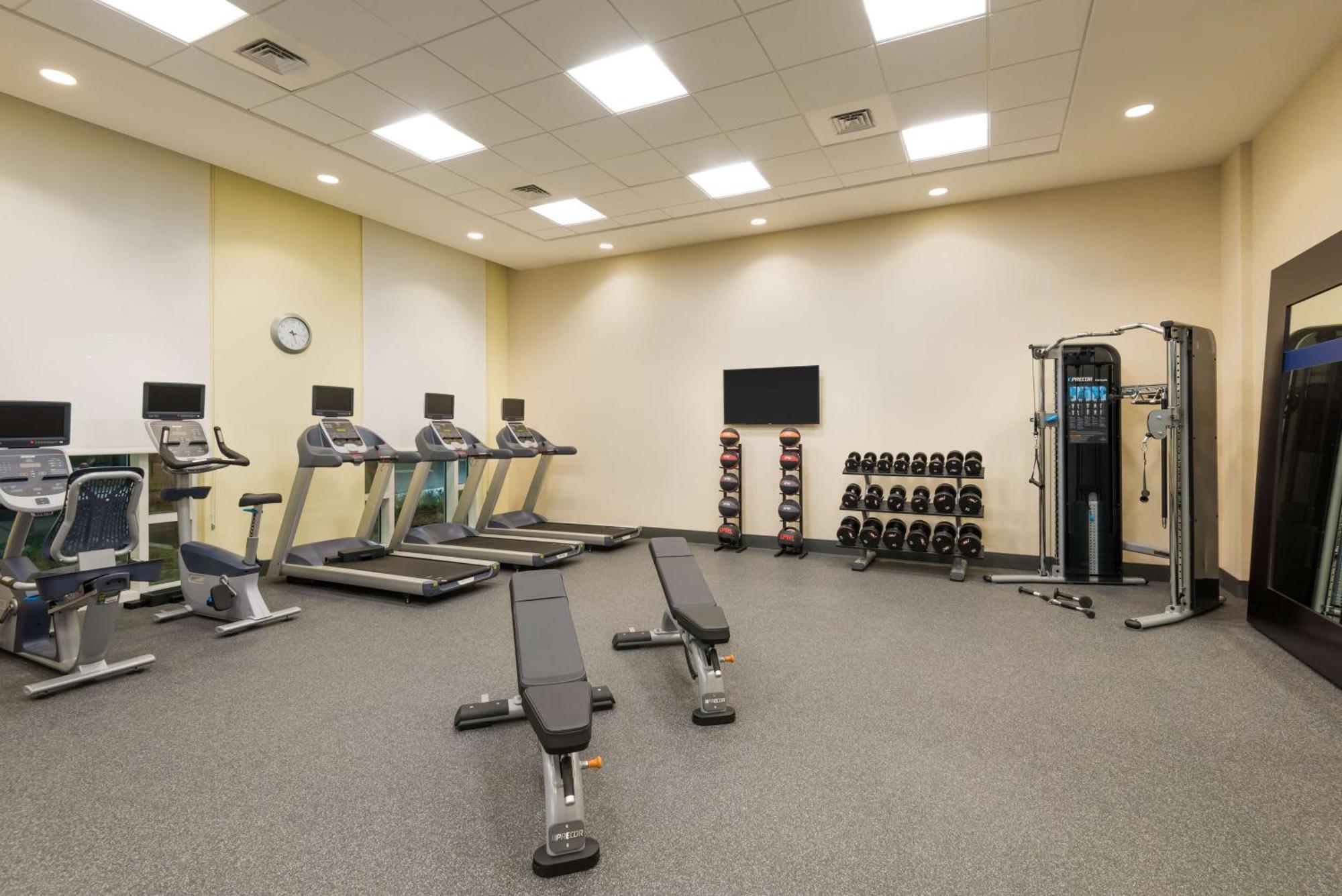 Hampton Inn & Suites Tampa Airport Avion Park Westshore מראה חיצוני תמונה